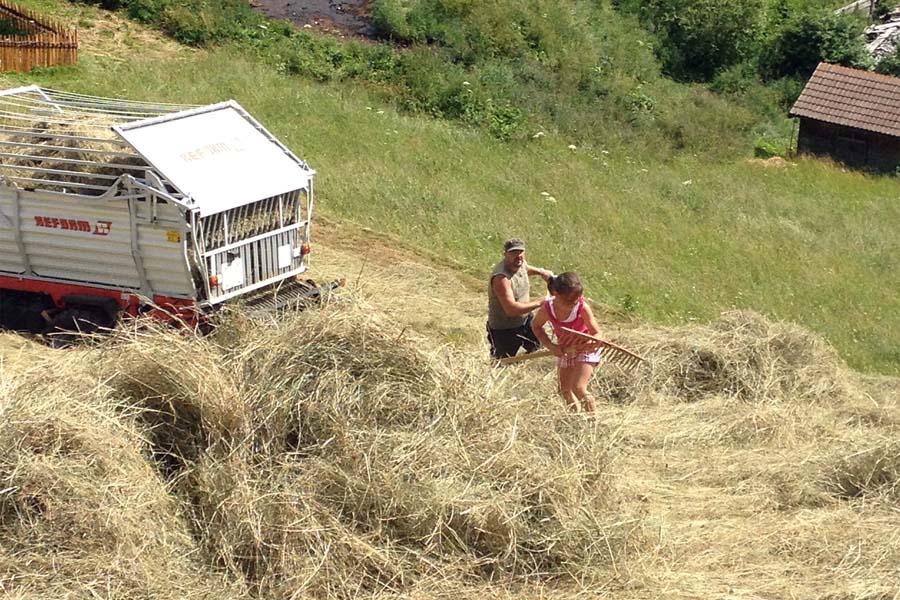 La famiglia al lavoro